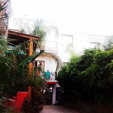 Milounapa * Αγία Νάπα