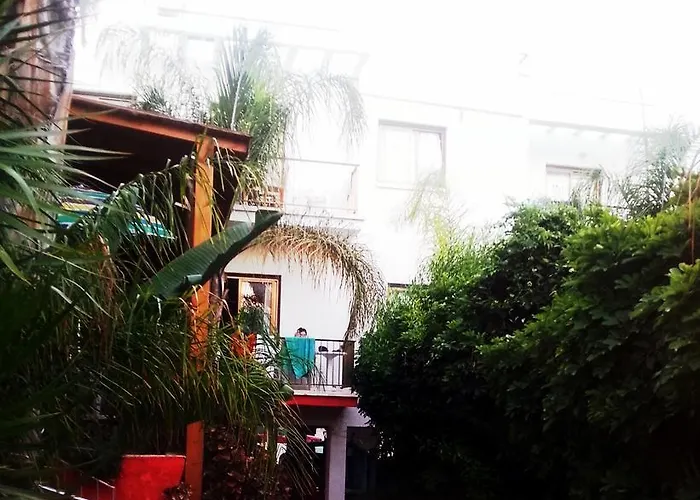 Milounapa * Ayia Napa